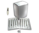 6G