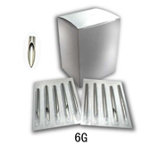 6G